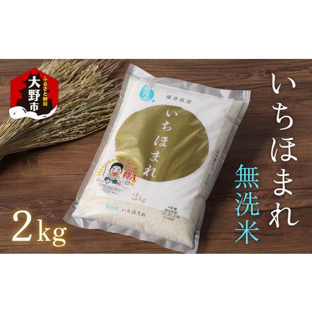 ふるさと納税 いちほまれ 無洗米 2kg × 1袋 福井県大野市