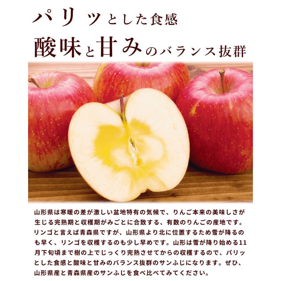 りんご サンふじ 山形県 東根市 サンふじ 秀品 3kg 9〜11個 ギフト お歳暮 11月下旬頃から発送 送料込