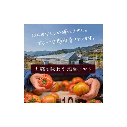 ふるさと納税 大分県 佐伯市 塩熟トマト KitachiRosso (計1kg・5月発送) 