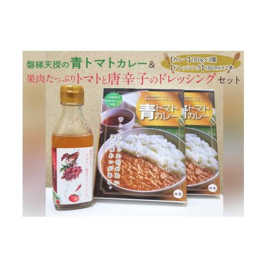 ふるさと納税 福島県 磐梯町 磐梯天授の青トマトカレー果肉たっぷりトマトと唐辛子のドレッシングセット