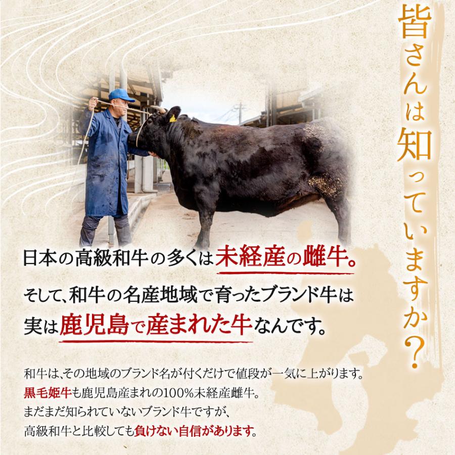 イチボ ランプ ステーキ 各2枚 鹿児島県産 黒毛和牛 黒毛姫牛A4 冷凍 キャンプ アウトドア BBQ ポイント消化 送料無料