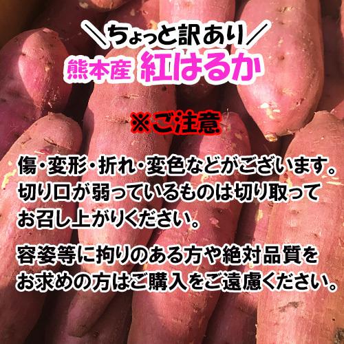 訳あり　紅はるか　約１０キロ　さつまいも 蜜芋　ご家庭用　熊本産