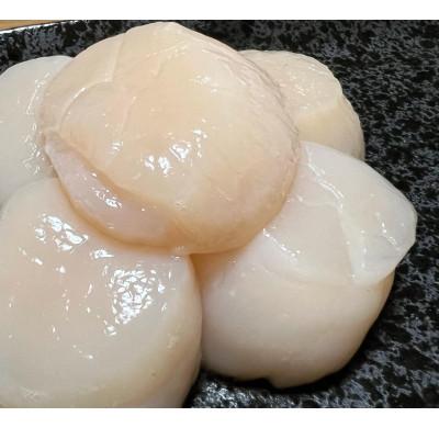 ふるさと納税 むかわ町 ほたて貝柱500g×2箱