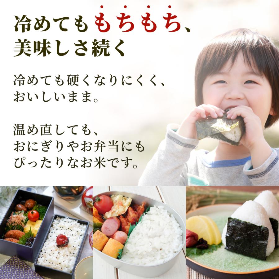  米 お米 2kg 長野県産 風さやか 令和5年産 真空パック 農家直送 白米 おこめ 精米  2キロ 国産