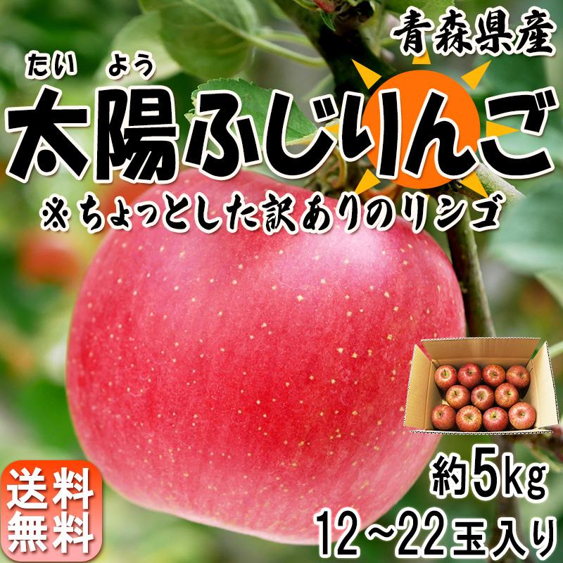 太陽ふじりんご 訳あり 約5kg 12〜22玉 青森県産 みずみずしいシャキッとした食感の青森リン サンフジ りんご 林檎 訳アリ