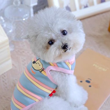 寵物貓咪防掉毛雪納瑞泰迪中型犬狗狗衣服秋冬柯基兩腳衣條紋背心