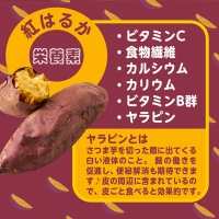 濃密な焼き芋をフライドポテトにしました！_13-L701