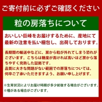 紀州有田産の巨峰ぶどう約３kg