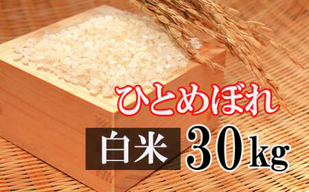  精米 30kg （10kg×3袋） ／ 新米 白米 産地直送 