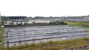 美濃都內｜開心農場｜有水有電｜種蔬果(2)｜高雄市美濃區美中段