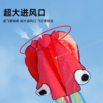 風箏大人兒童可愛立體章魚無骨便攜大型易飛濰坊2024新款金小 鑫弘-戶外運動