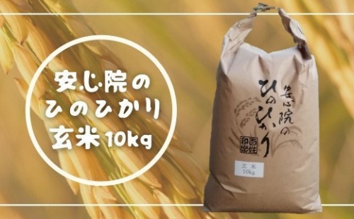 A-361 安心院のひのひかり玄米 10kg ひのひかり 減農薬 玄米 ふるさと米