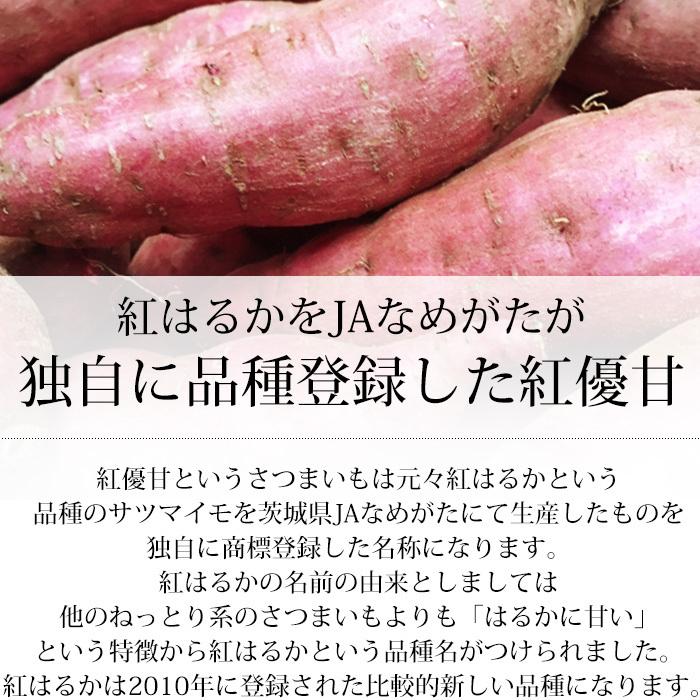 さつまいも 茨城県産 紅優甘 紅はるか 約5kg 丸2Lサイズ 7〜10本前後