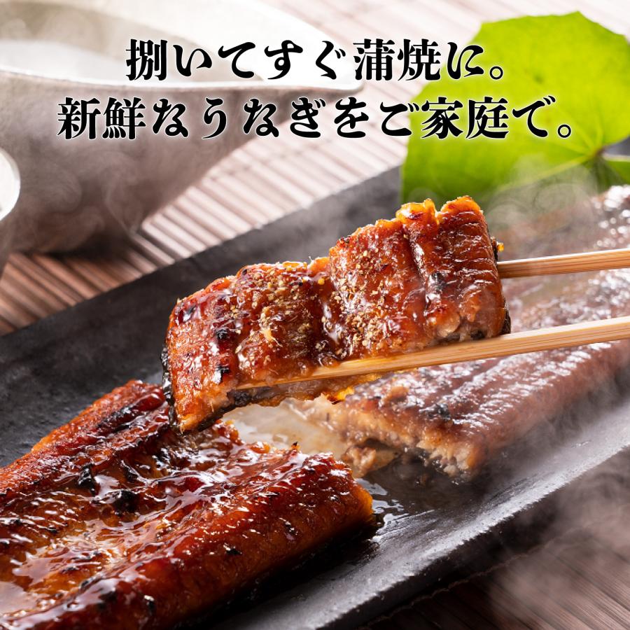 鹿児島県産鰻長蒲焼セット4尾 無頭長蒲焼き真空(添付タレ山椒付×4・しおり1枚）