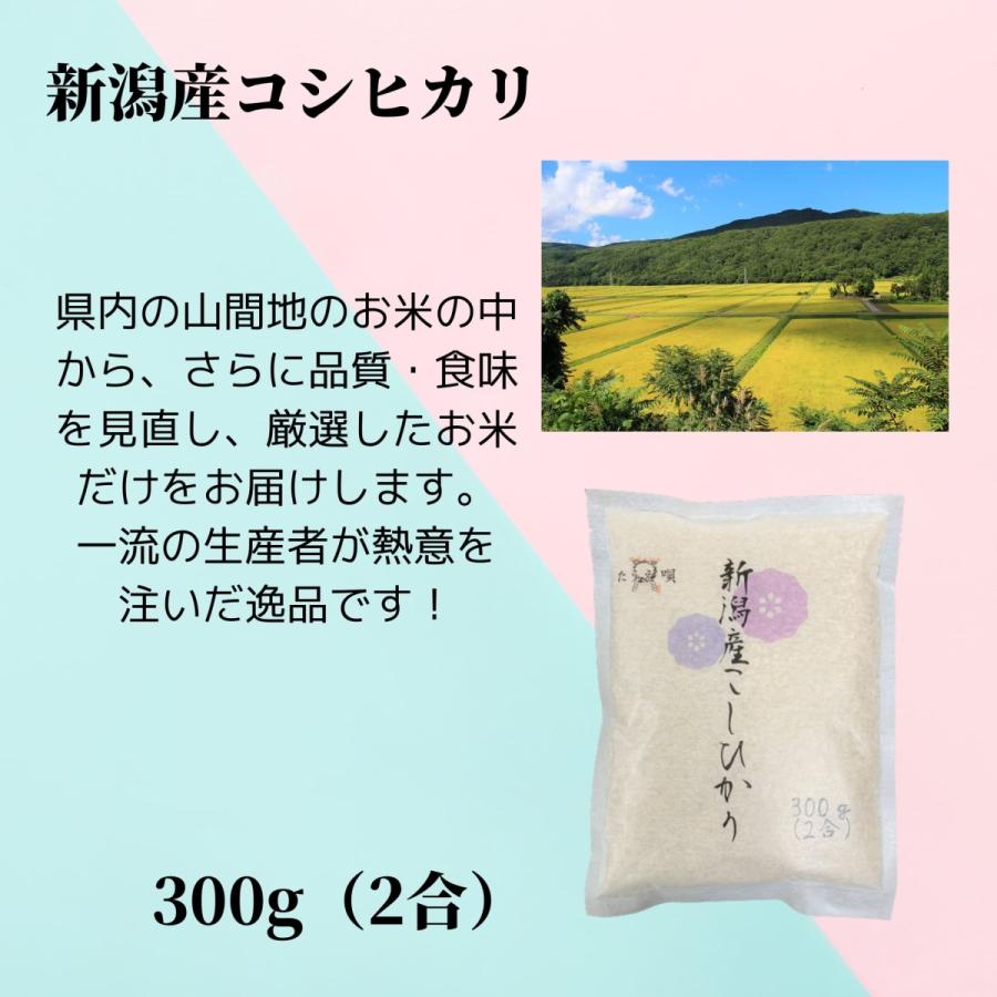 お試し米　新潟三大名産地米　食べ比べセット300g×3　ポイント全払い　粗品　ギフト　食べ比べ