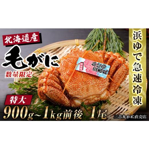 ふるさと納税 北海道 白老町 北海道産 冷凍ボイル毛ガニ (900g-1kg前後) 1尾