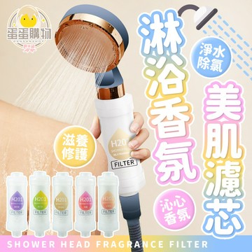 淋浴香芬 淋浴過濾 淨水除氯 熱水器花灑 花灑 美膚 沐浴過濾棒 家用沐浴花灑