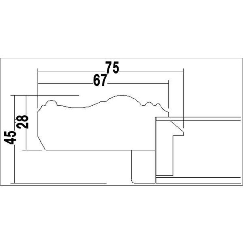 額縁 油絵/油彩額縁 樹脂製フレーム アクリル付 7746 サイズ F6号