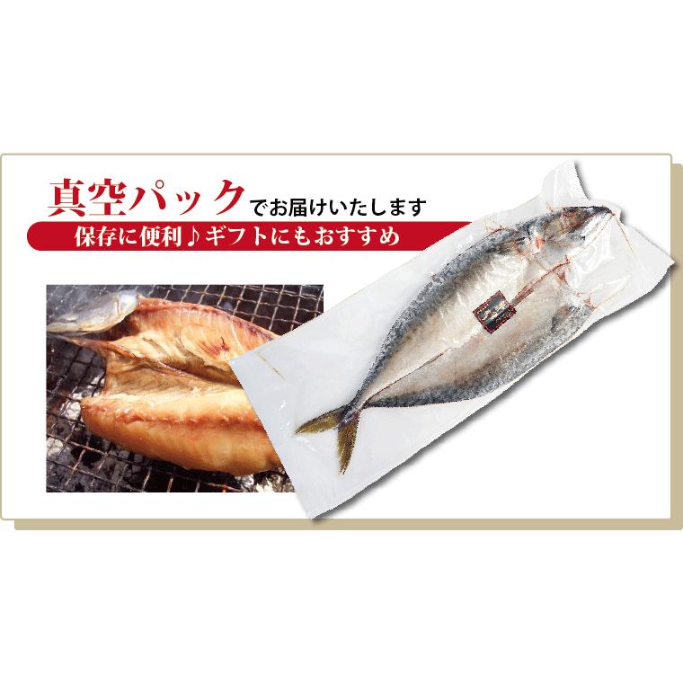 さば 干物 1尾×1パック サバ 鯖 干物セット 真空パック 一夜干し 一夜干し魚 一夜干しセット ((冷凍))