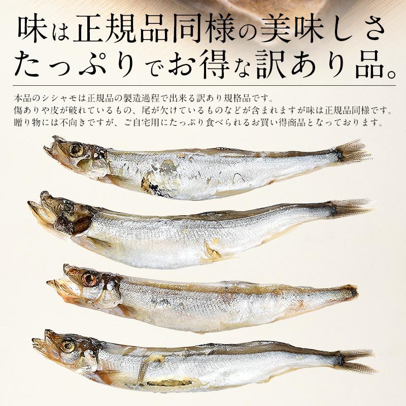 ししゃも シシャモ 訳あり 干物 子持ち メス 1kg 干物 詰め合わせ 冬グルメ 冬ギフト