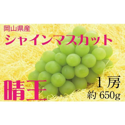 ふるさと納税 岡山県 倉敷市 HT02　シャインマスカット晴王　1房　約650g