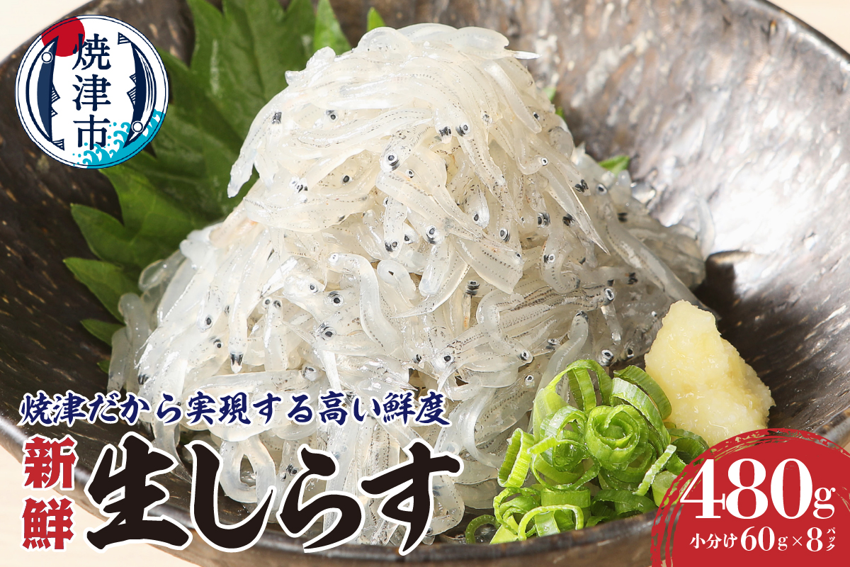 a10-419　静岡県漁連 お刺身用冷凍生しらす
