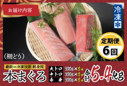  刺身用！本マグロ堪能セット（柵どり）計900g × 6回