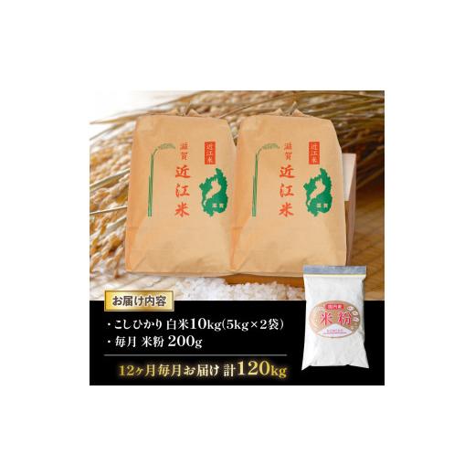 ふるさと納税 滋賀県 竜王町 令和5年産 こしひかり10kg 全12回 近江米 新米 米粉 200g付