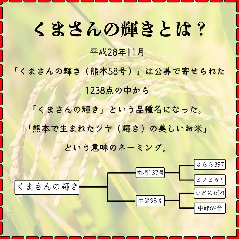 お米 米 5kg 白米 送料無料 熊本県産 くまさんの輝き あすつく 新米 令和5年産 5kg1個 くまモン くまもとのお米 富田商店 とみた商店