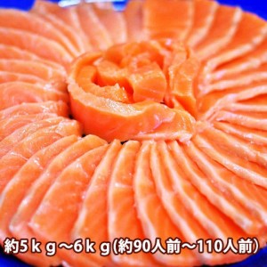 サーモン 刺身 みやぎサーモン 国産 鮭 約5kg～6kg 90人前 ～ 110人前 大トロ 生食用 【 銀ざけ 銀さけ 銀鮭 鮮魚 アトランティックサー