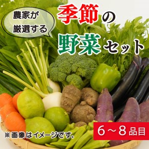 野菜 詰め合わせ セット 6～8種 緑新鮮市 キャベツ 人参 にんじん きゅうり じゃがいも なす ほうれん草 小松菜 ピーマン かぼちゃ 白菜 大根 さつまいも 玉ねぎ たまねぎ ブロッコリー トマト オクラ レモン ネギ  生姜 栗 愛媛県 愛南町