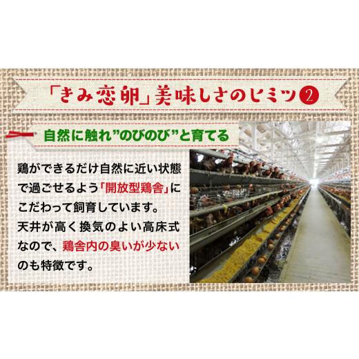 ふるさと納税 宮崎県 都城市 新鮮赤卵「きみ恋卵」25個_LE-2901_(都城市) 赤卵 きみ恋卵 Ｍサイズ 25個 30個 卵かけご飯 ゆで卵 お菓子作り