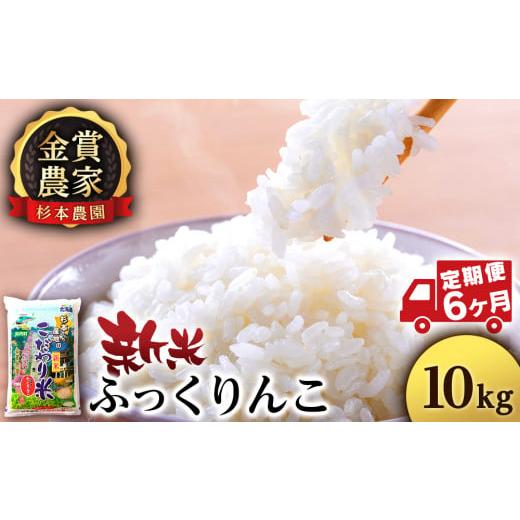 ふるさと納税 北海道 知内町  ★定期便★金賞農家★が作る「ふっくりんこ」10kg×6回《杉本農園》