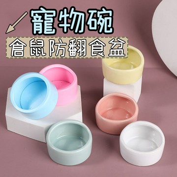 倉鼠食盆 倉鼠碗 倉鼠飼料碗 倉鼠用具 圓形頂飯盆 防滑防翻 防啃咬 小寵飼料碗 易清洗