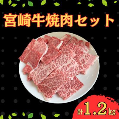 ふるさと納税 串間市 宮崎牛焼肉セット 計1.2kg(串間市)