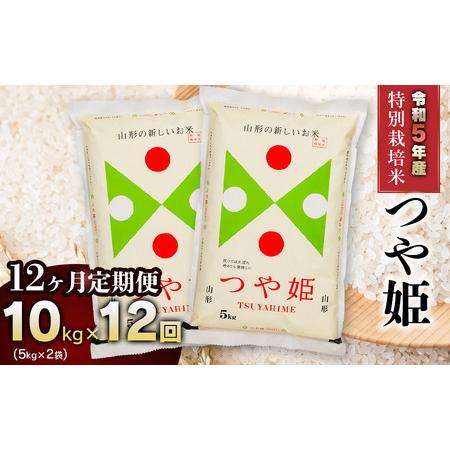 ふるさと納税 新米 山形県庄内産 特別栽培米つや姫10kg（5kg×2） 鶴岡米穀商業協同組合 山形県鶴岡市