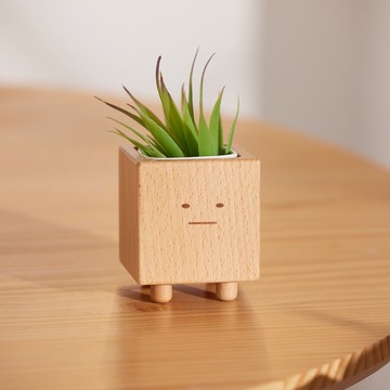 【小盆景】男女朋友送禮 禮物 小盆獸 多肉盆栽座 客製