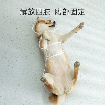 發票+免運 狗狗雨衣 泰迪 柴犬 小型犬雨衣 金毛 中型犬雨衣 防水透明雨衣 寵物雨衣 柯基神器 寵物衣服 狗狗衣服