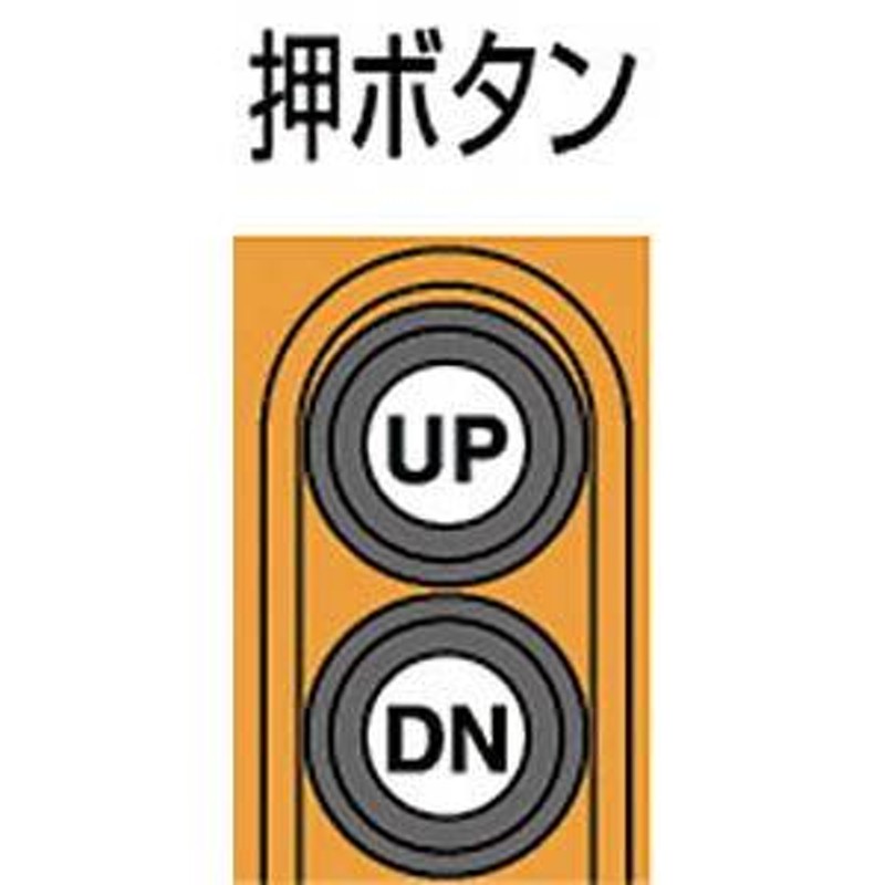 代引き不可 象印 ベータ型小型電気チェンブロック 定格荷重200KG 揚程