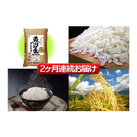 ふるさと納税 魚沼産コシヒカリ 10kg 2ヶ月 連続お届け （ 米 定期便 コシヒカリ 魚沼産 精米 白米 お米 こめ コメ こしひかり 魚沼 2回 お楽し.. 新潟県魚沼市