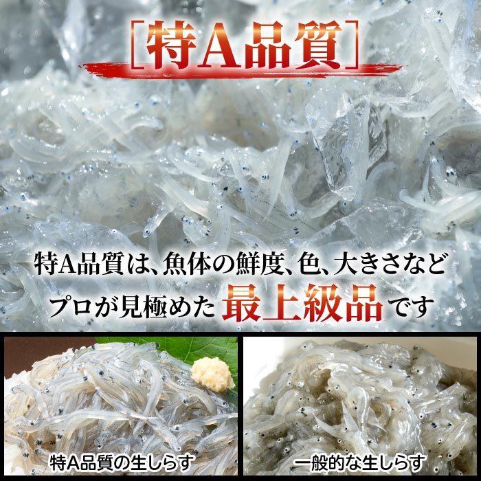 鮮度抜群！静岡県産 生しらす＆釜揚げしらす1kgセット シラス しらす 生シラス 釜揚げ 冷凍 用宗港 駿河湾 しらす丼 静岡産 グルメ