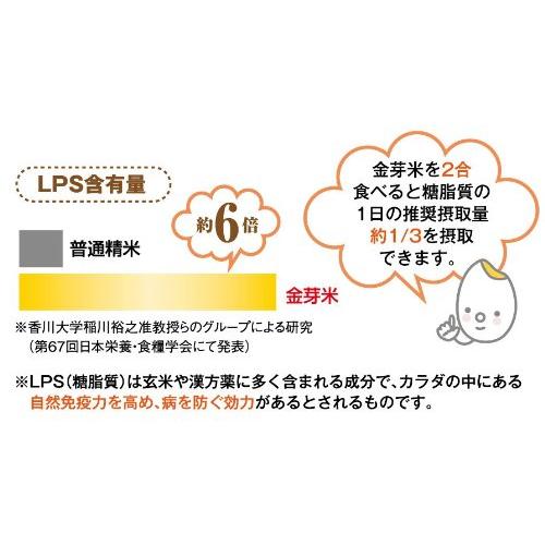 金芽米(無洗米) 長野県産あきたこまち 10kg