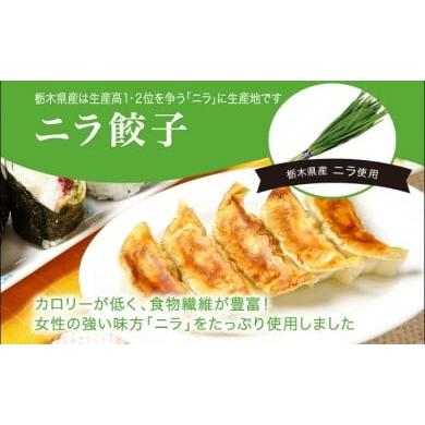 ふるさと納税 栃木県 さくら市 「宇都宮餃子館」ニラ餃子 960ｇ（４８個）≪ギョーザ 冷凍餃子 冷凍食品 グルメ 食品 惣菜 中華惣菜 点心 中華≫