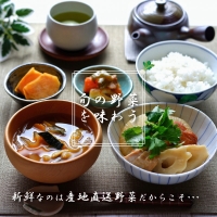 季節の野菜詰め合わせ