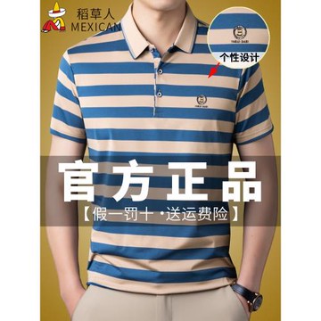 稻草人男t恤短袖2024新款潮流夏裝翻領條紋上衣中年純棉POLO衫男
