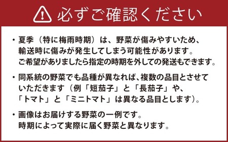 野菜のプロ40年が届ける 厳選野菜セット！ 野菜・フルーツ 15～16品目 詰め合わせ