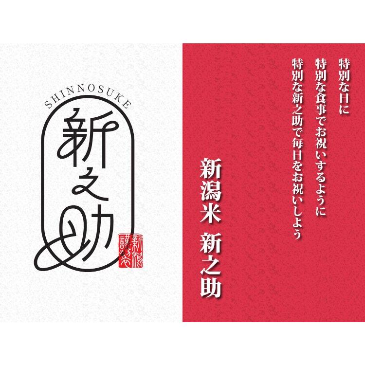 新米 無洗米 5kg 送料別 新之助 しんのすけ 新潟県産 令和5年産 1等米 米 5キロ お米 食品