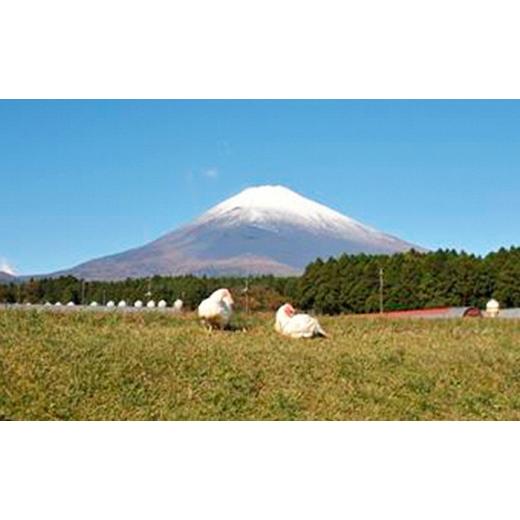 ふるさと納税 静岡県 御殿場市 満足セット◆