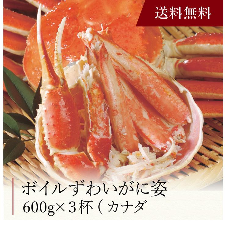 お取り寄せ 送料無料 内祝い 〔 ボイルずわいがに姿 〕 出産内祝い 新築内祝い 快気祝い 海鮮