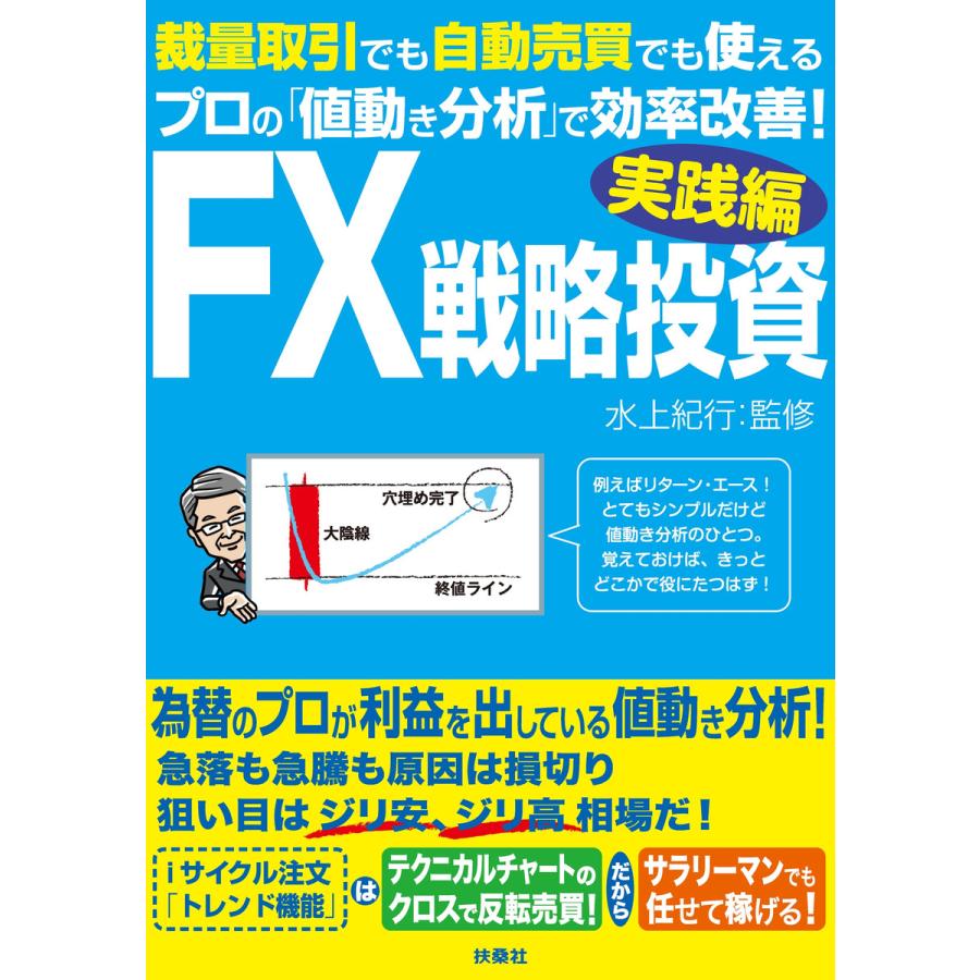 FX戦略投資 実践編 電子書籍版   水上紀行